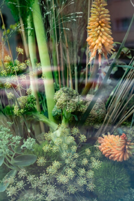 studio katharina ruhm