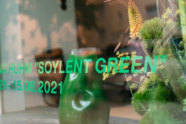 studio katharina ruhm