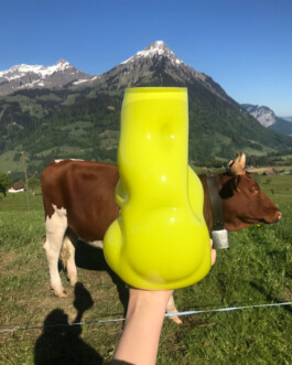 studio katharina ruhm