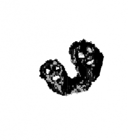 studio katharina ruhm