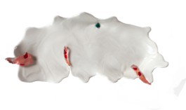 studio katharina ruhm