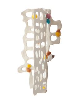 studio katharina ruhm