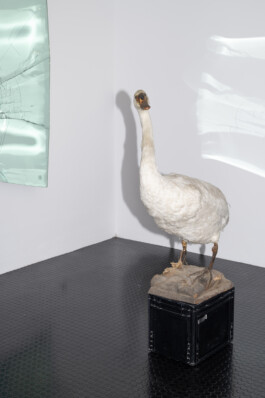 studio katharina ruhm