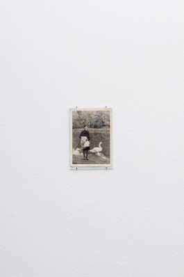 studio katharina ruhm